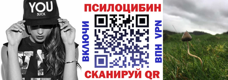 купить   Махачкала  Галлюциногенные грибы GOLDEN TEACHER 
